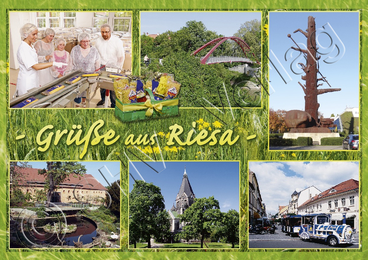 internationaler impfausweis impfpass mit Schutzhülle 5