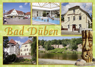 dub-1313 Bad Düben